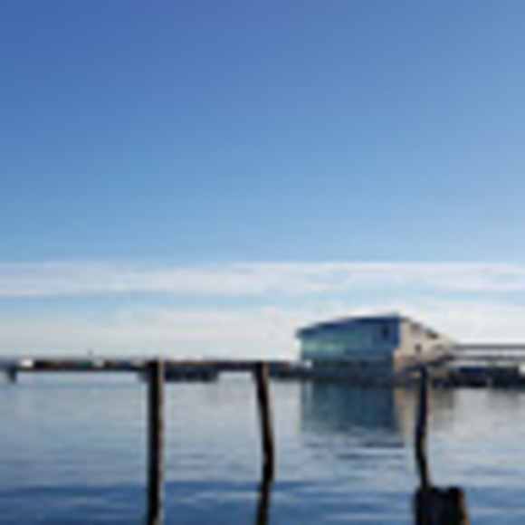 Meet your Posher, Danielle - Picture 1 of 1